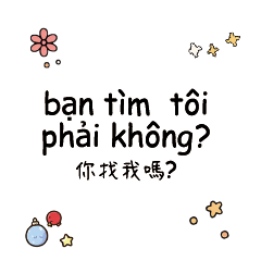 VietnameseChineseTranslate_4