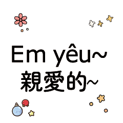 VietnameseChineseTranslate_2