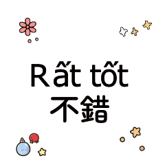 VietnameseChineseTranslate_3