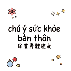 VietnameseChineseTranslate_5