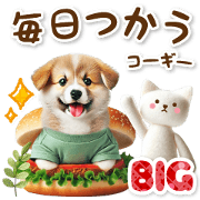 otona kawaii iyashi corgi [BIG]