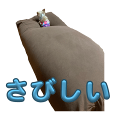 Towawa_20250124025105