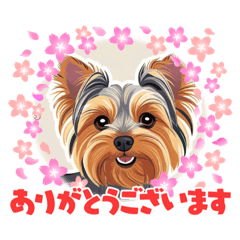 Yorkshire terrier daily use stamp