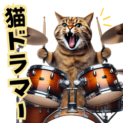 Cat Drummer