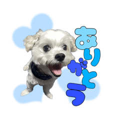 mahiro_20250124140751