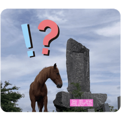 会話する馬たち