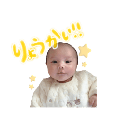mai_20250124141729