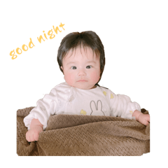 koto_20250124161701