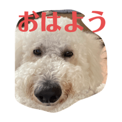 H_20250124145728