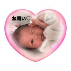 pon_20250124151745