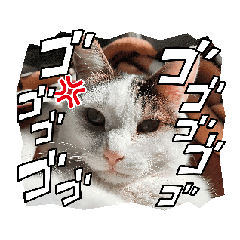 Kaori_20250124175735