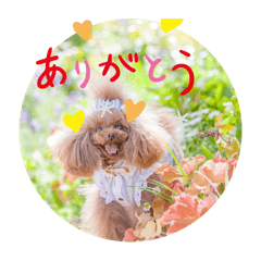 yoshi_20250124203150