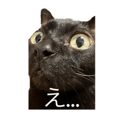 Am_20250124203336