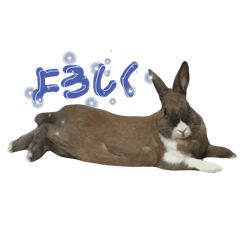 Natsu_20250124180414