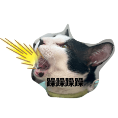 碗粿貴貴貴