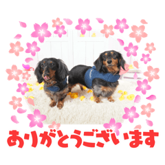 Hana_20250124210621