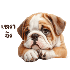 ต้าวอ้วนรถถัง คำพูดสุภาพ