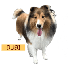喜樂蒂牧羊犬·嘟比·第一彈