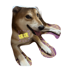 屏東Sa爺