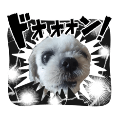 taka_20250124164729