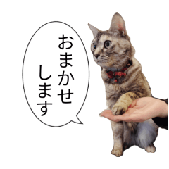 tanaka_20250124170953