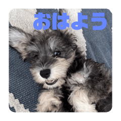 NONO_20250124224131