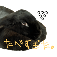 yama_20250124212325