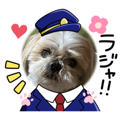ちょこまゆ