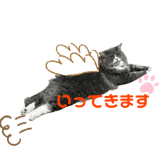 mush_20250125121415