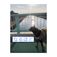 Amber_20250124175810