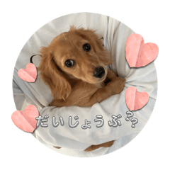 saori_20250124174735