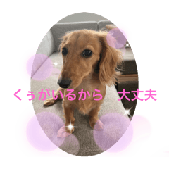 saori_20250124175317