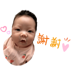熊寶芷茜全集