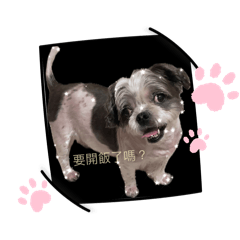 福寶杋杋一家親