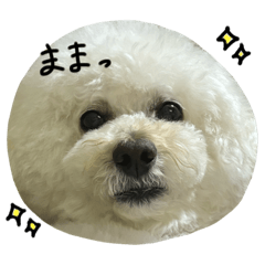 mirurunchan