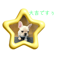 Hanako1002