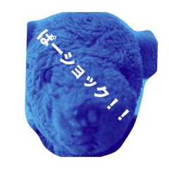 nn_20250124173730
