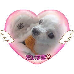megu_20250124194056