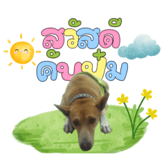 น้องแต๋ม v.99