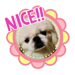 nao_20250125053128