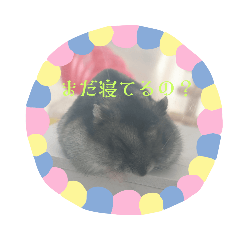 choco_20250125