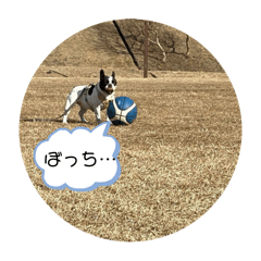 Haruandtumugi_20250124232640