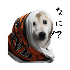 mm_20250124233105