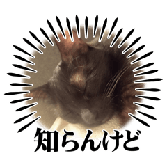 popcorn_20250125105016