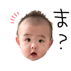 sacco_20250125144911