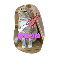 CHIHIRO_20250126015529