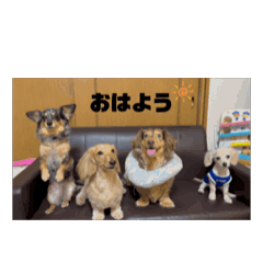 39_20250125181323