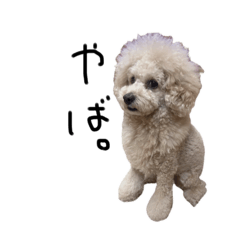 のんちゃんだにょ