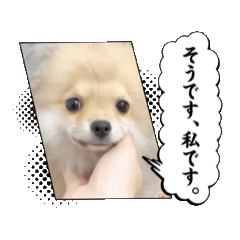 mirei_20250125203412