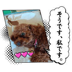 HANA_20250125185932